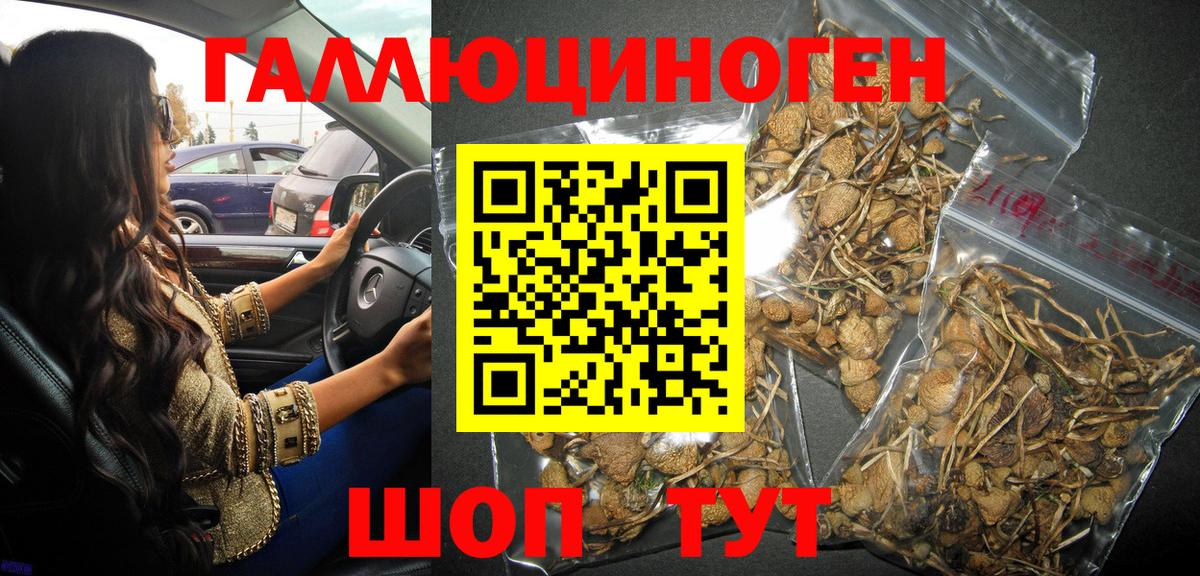 хочу наркоту  Псилоцибиновые грибы Psilocybe  Добрянка  Вход с VPN  Псилоцибиновые грибы Psilocybe 